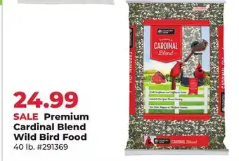 Runnings Premium Cardinal Blend Wild Bird Food offer