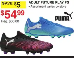 Dunham's Sports PUMA ADULT FUTURE PLAY FG offer