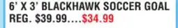 Dunham's Sports 6' X 3' BLACKHAWK SOCCER GOAL offer