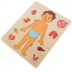 Walmart 1 Set Human Organs Puzzle for Toddler Kids Anatomy Internal Organs Puzzle Toy offer