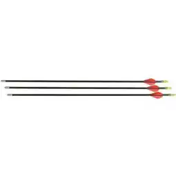 Walmart Allen Company 28 Fiberglass Youth Arrow offer