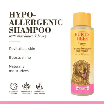 Walmart Burt's Bees Natural Hypoallergenic Shampoo Shea and Butter Honey for Dogs and Puppies offer