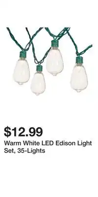 Big Lots Warm White LED Edison Light Set, 35-Lights offer