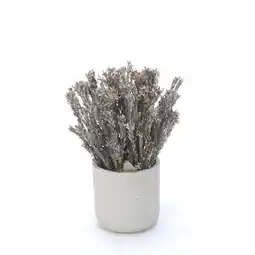 Walmart Disttive Designs 3007 Unisex Pubescens Silver in Grey Planter - Brown offer