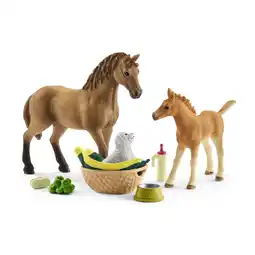 Walmart Horse Club Sarahs baby animal care offer