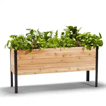 Walmart 18 x 60 Raised Garden Bed offer