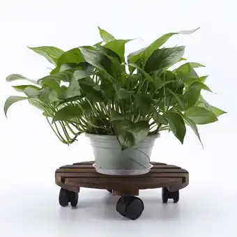 Walmart Rolling Potted Plant Stand Round Flower Pot Trolley Lockable Wheels, 35cm offer