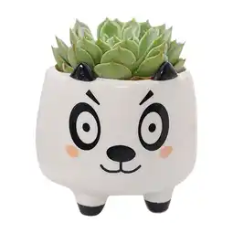 Walmart Pedty 1X Flowerpot,Animal Pot Ceramic Succulent Plant Pot Cactus Potted Planting Bonsai Pots Set offer