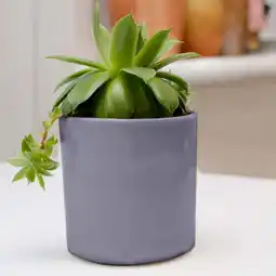 Walmart Flower Pot Plastic Succulent Small Flower Pot Gray Straight Tub 90 offer