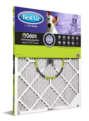 Walmart Carbon Infused Pleated Pet Filter offer