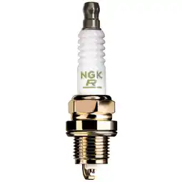 Walmart NGK (5531) Standard Spark Plug, DPR6EA-9 offer