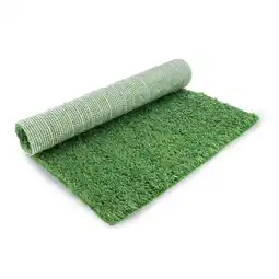 Walmart PetSafe Pet Loo Replacement Grass, Medium offer