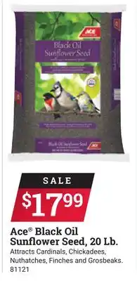 Ace Hardware Ace Black Oil Sunflower Seed, 20 Lb offer