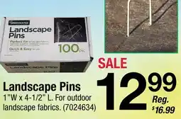 Ace Hardware Landscape Pins offer