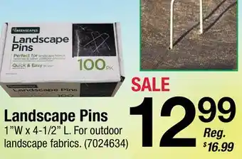 Ace Hardware Landscape Pins offer