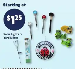 Family Dollar Solar Lights or Yard Décor offer