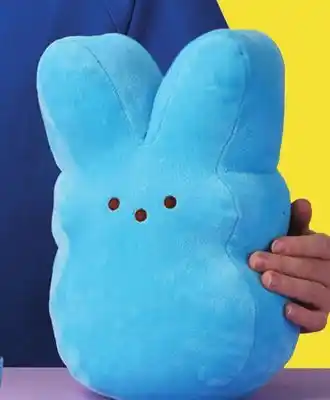 Family Dollar Easter Medium Plush offer