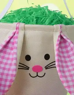 Family Dollar Canvas Bunny Easter Basket offer