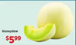 Gordon Food Services Honeydew offer