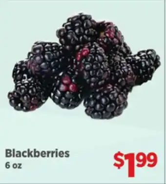 Gordon Food Services Blackberries offer