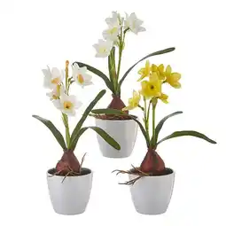 Walmart RAZ Imports Spring Real Touch Potted Easter Daffodil Flowers, Set of 3 offer