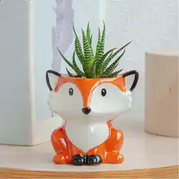 Walmart KUMHONW Animal Pot Ceramic Succulent Plant Pot Cactus Potted Planting Bonsai Pots Set Flower Pots offer