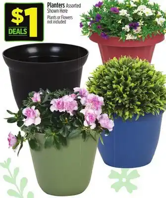 Dollar General Planters Assorted offer