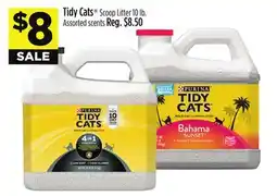 Dollar General Tidy Cats Scoop Litter offer