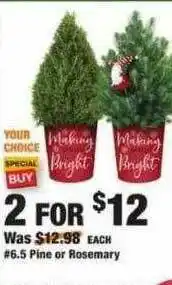 The Home Depot Pine Or Rosemary offer