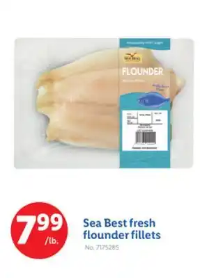 Lidl Sea Best fresh flounder fillets offer