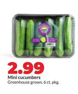 Hy-Vee Mini cucumbers offer