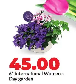 Hy-Vee 6 International Women's Day garden offer