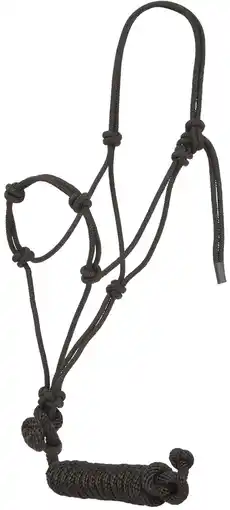 Walmart Mustang Yearling Knotted Training Halter w/Lead offer