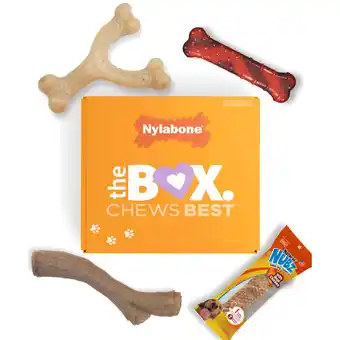 Walmart Nylabone The Box - Chew Toys & Treat Dog Gift Box Variety Small/Regular - Up to 25 Ibs. (4 Count) offer