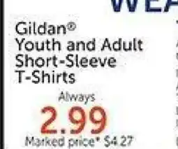 Hobby Lobby Gildan Youth and Adult Short-Sleeve T-Shirts offer