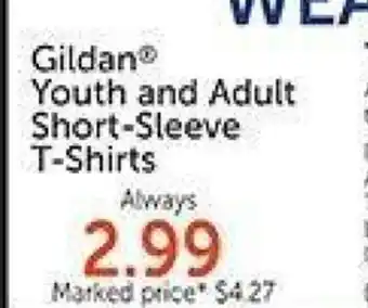 Hobby Lobby Gildan Youth and Adult Short-Sleeve T-Shirts offer