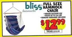 Ollie's FULL SIZE HAMMOCK CHAIR offer