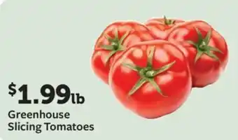 Fareway Greenhouse Slicing Tomatoes offer