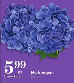 Pavilions Hydrangeas offer