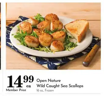 Pavilions Open Nature Wild Caught Sea Scallops offer