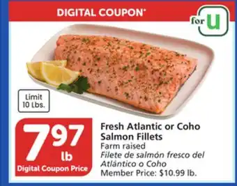 Vons Fresh Atlantic or Coho Salmon Fillets offer