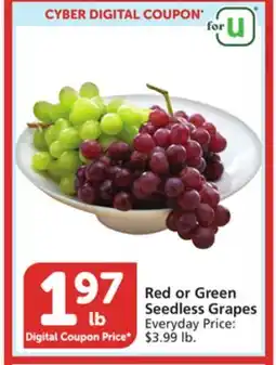 Vons Red or Green Seedless Grapes offer