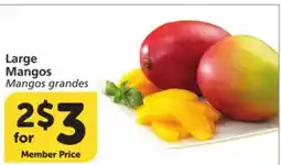 Vons Large Mangos offer