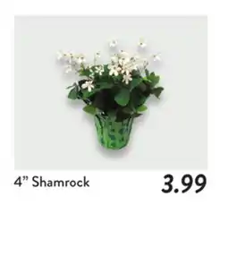 Fresh Thyme 4 Shamrock offer