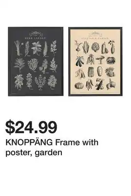 Ikea KNOPPÄNG Frame with poster, garden offer