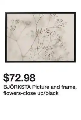 Ikea BJÖRKSTA Picture and frame, flowers-close up/black offer