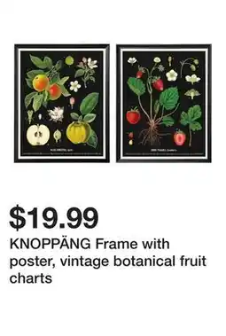 Ikea KNOPPÄNG Frame with poster, vintage botanical fruit charts offer