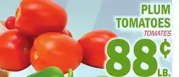 Bravo Supermarkets PLUM TOMATOES offer