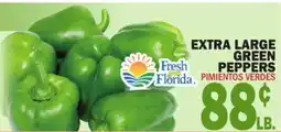 Bravo Supermarkets EXTRA LARGE GREEN PEPPERS offer