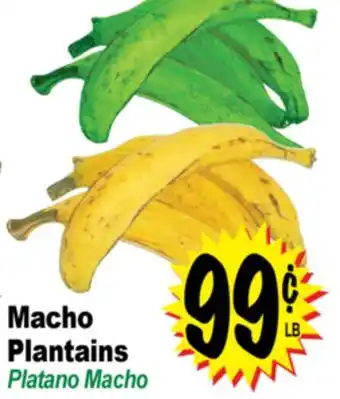 Superior Grocers Macho Plantains offer